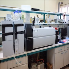 LC MS/MS triple quadrupole liquid chromatograph